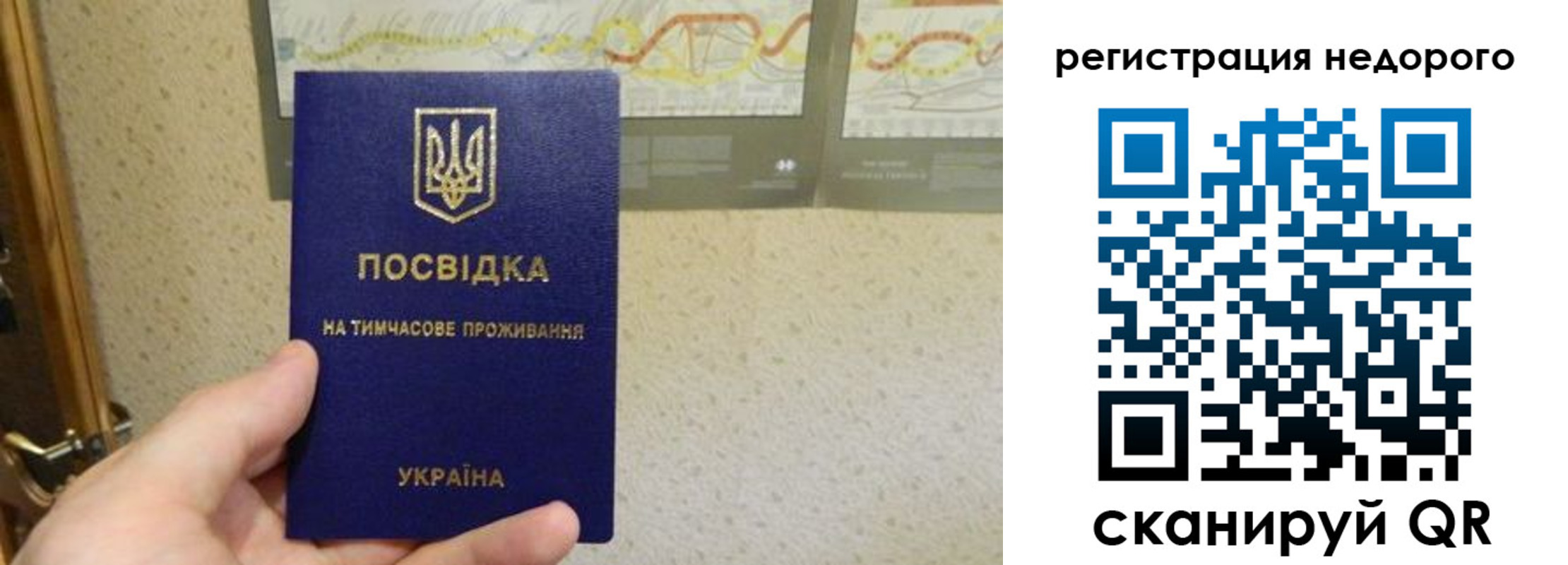 прописка для работы в Емве
